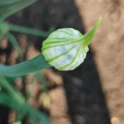 R&D